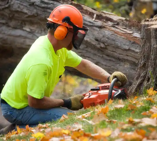 tree services North Brentwood